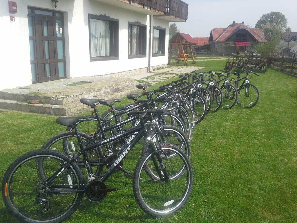 Serena Guesthouse Bran Bran  Exterior foto