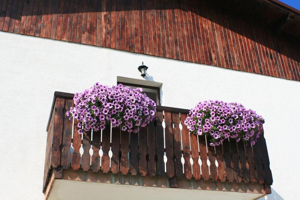 Serena Guesthouse Bran Bran  Exterior foto